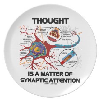Thought Is A Matter Of Synaptic Attention (Neuron) plate
