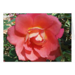 Thought of you greeting cards