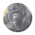 Thoughtful Gorilla Magnet by angeleyes_9136 Thoughtful Gorilla Magnet