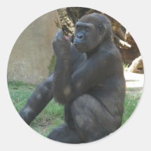 Thoughtful Gorilla Stickers