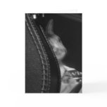 Thoughtful Kitten   cards