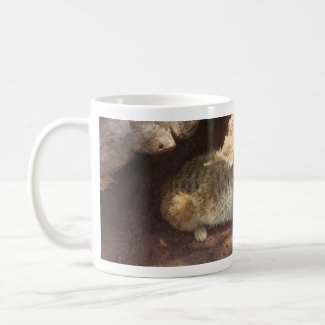 Thoughtful Meerkat mug