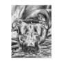 Thoughtful Pit Bull Post Card