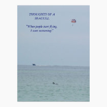 Thoughts of a Seagull Poster posters