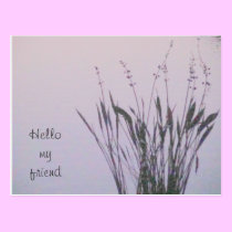 Thoughts of you postcards