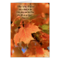 ThouolordareashieldformeZazzle cards