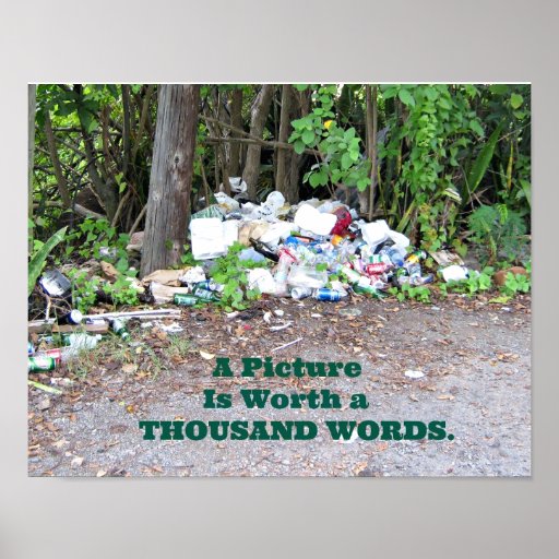 "Thousand Word" picture of the results of litter. Poster Zazzle