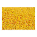 Thousands of ducks posters by sauvey Thousands of ducks posters