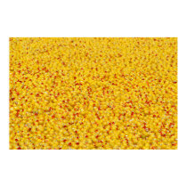 Thousands of ducks posters by sauvey Thousands of ducks posters