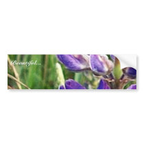 threatened endangered species and fire bumper stickers