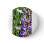 threatened endangered species and fire pinback button