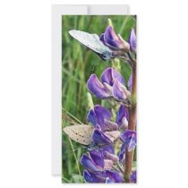 threatened endangered species and fire rack cards