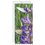 threatened endangered species and fire personalized rack card