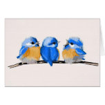 Three Adorable Baby Bluebirds Blank Note Card