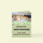 Three Adorable Dogs  Birthday Greeting Card