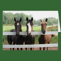 Three Amigas cards by pfdesign Three Amigas cards