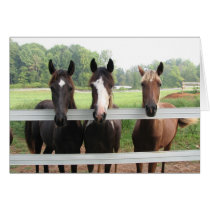 Three Amigas Greeting Card