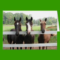 Three Amigas cards