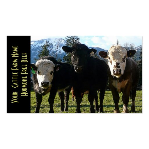 Three Amigos Beef Cattle Business Cards