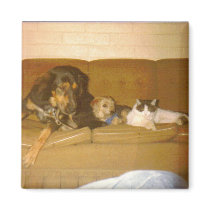 Three Amigos magnets by maebelone Three Amigos magnets