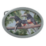 Three Amigos Toucan Belt Buckle Three Amigos Toucan Belt Buckle
