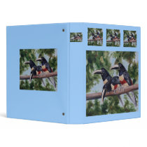 Three Amigo's Toucan Binder