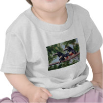 Three Amigo's Toucan Infant Tshirt