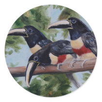 Three Amigo's Toucan Sticker