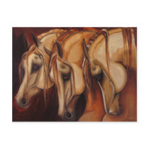 Three Arabians Postcard