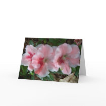 Three azaleas cards by athousandwords Three azaleas cards