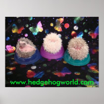 Three babies poster