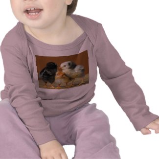Three Baby Chicken's Children's T-Shirts/Creepers shirt