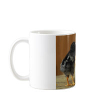 Three Baby Chicks mugs