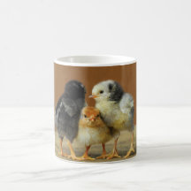 Three Baby Chicks Mug