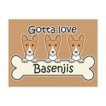 Three Basenjis Post Card