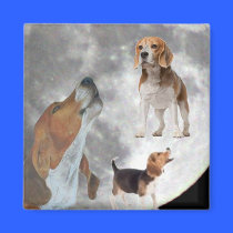 Three Beagles and the Moon Magnet magnets