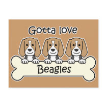 Three Beagles Post Card