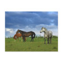 Three beautiful horses on sunny Summer day postcards by imagineallart Three beautiful horses on sunny Summer day postcards