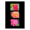 Three Beautiful Roses cards