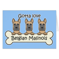 Three Belgian Malinois Card