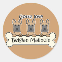 Three Belgian Malinois Sticker