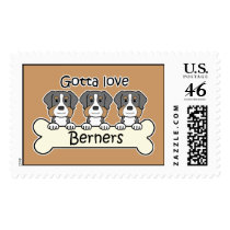 Three Bernese Mountain Dogs Stamp