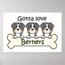 Three Bernese Mountain Dogs Poster