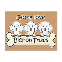 Three Bichon Frises postcards