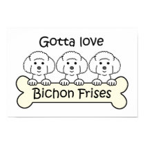 Three Bichon Frises posters
