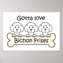 Three Bichon Frises Poster