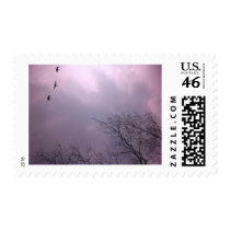 Three Birds Fly So high Postage Stamps