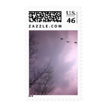 Three Birds Fly So high Postage Stamps
