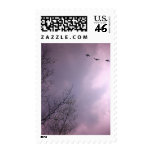 Three Birds Fly So high postage