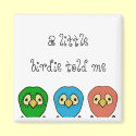 three birds magnets